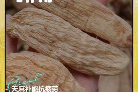 天麻平肝息风-祛风通络功效与镇静镇痛_降血压作用解析