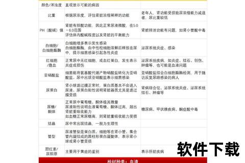 常规检查项目解析:必查内容与常见类型一览