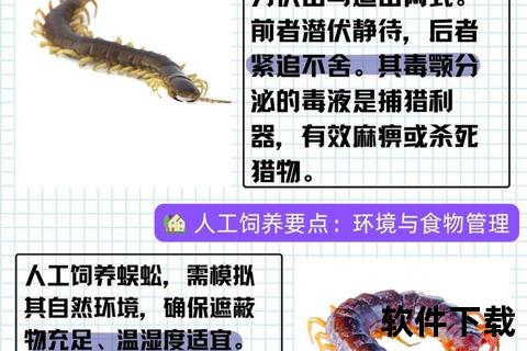 蜈蚣药用价值探析-成分功效与临床应用研究进展