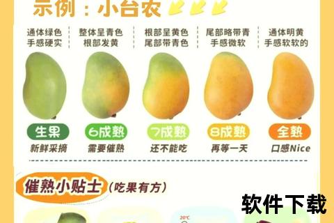 青芒果的十大健康功效：养颜护肤_降血压与润肠通便解析