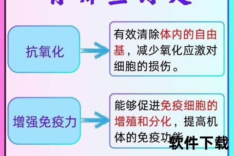 硒与维生素的协同奥秘：健康免疫与抗氧化的关键纽带