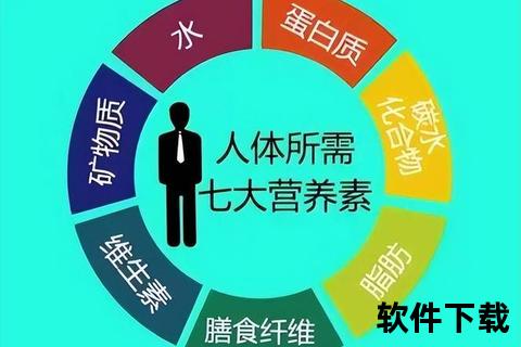 维生素12：健康守护者与生命必需因子的奥秘解析