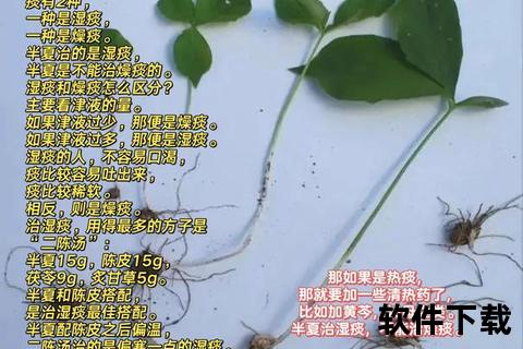 半夏曲核心功效解析：止咳化痰-和胃降逆与消痞散结作用