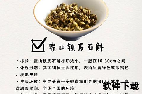 铁皮石斛核心功效解析:免疫调节与抗氧化作用的双重健康密码 铁皮石斛核心功效解析:免疫调节与抗氧化作用的双重健康密码