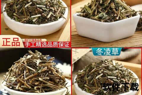 冬凌草胶囊核心功效-清热解毒抗炎消肿及咽喉肿痛缓解作用