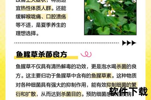 鱼腥草副作用警示-过敏反应与禁忌人群的科学解读