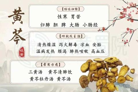 复方黄芩片_中药组方解析与抗菌消炎机制研究