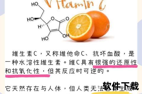 天然维生素C成分解析：高效抗氧化与免疫提升之源
