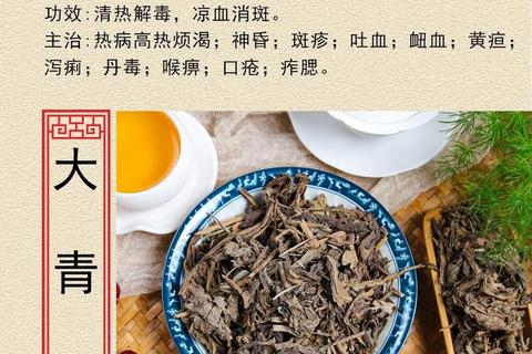 复方大青叶_清热解毒与感冒治疗的双重机制