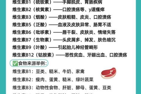 复合维生素B作用解析：健康代谢与神经功能维护的关键要素