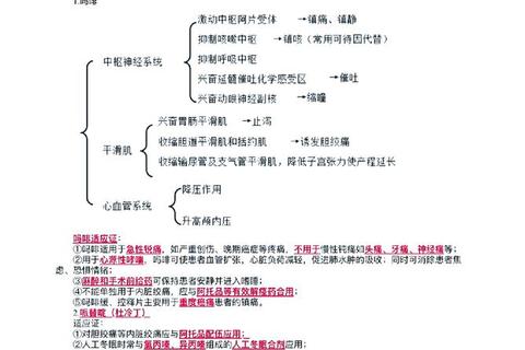 复方吲哚美辛酊_镇痛抗炎机制解析与临床应用研究进展