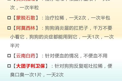肠胃炎能否使用阿莫西林：适用条件与用药注意事项