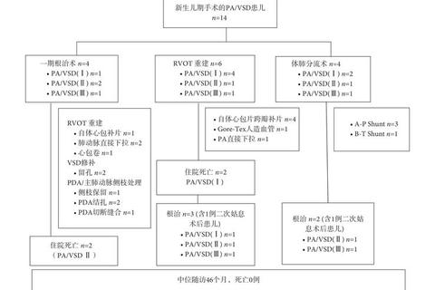 新生儿室间隔缺损_病因机制_诊疗策略与长期预后分析
