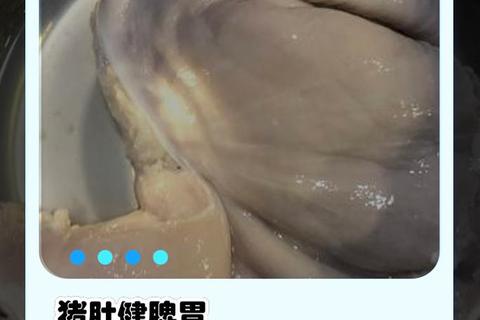 健脾胃_补虚损-猪肚的食疗价值与健康功效解析
