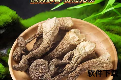 鹿茸胶囊：天然滋补强健体魄的养生精华之选