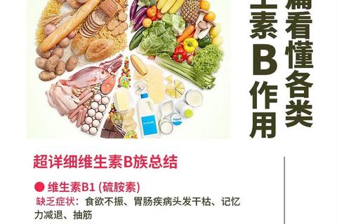 汤臣倍健B族维生素：核心作用解析与健康功能详解
