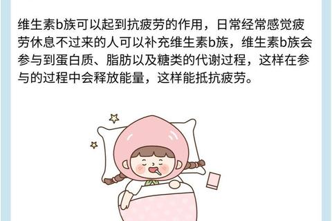 B族维生素核心解析：健康作用与科学补充指南