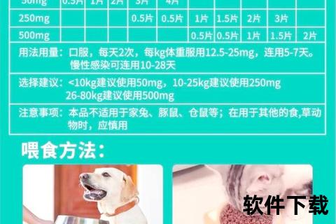 炎消炎药使用指南：选药原则与注意事项解析