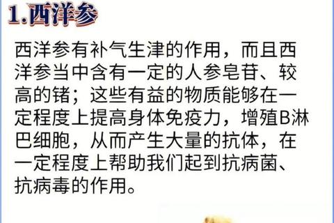 免疫增强黄金组合-科学配方助力全面提升抵抗力