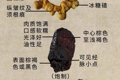黄精功效与作用解析：补气健脾_润肺养阴及健康应用