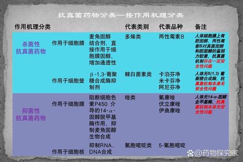 复方联苯苄唑溶液_抗真菌复方制剂临床应用与疗效分析