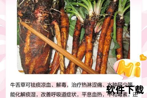 牛舌头的药用功效与健康作用-详解其营养价值及传统应用