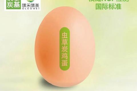 消炎药与鸡蛋能否同吃_科学解析安全食用真相