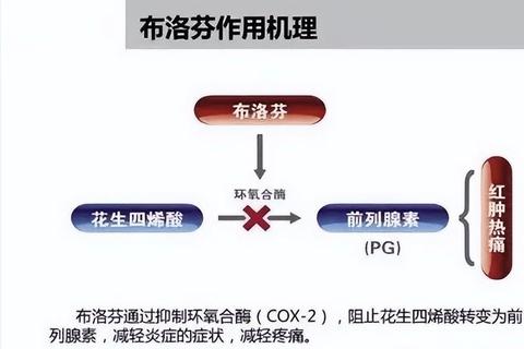 布洛芬消炎作用解析_机制与正确使用指南