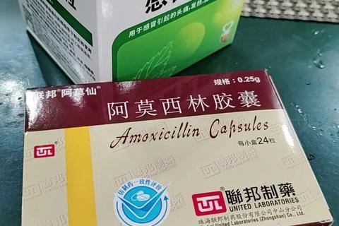 阿莫西林价格解析：一盒多少钱及品牌与药店差异
