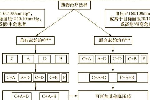 用药查询指南：安全用药与常见问题全解析