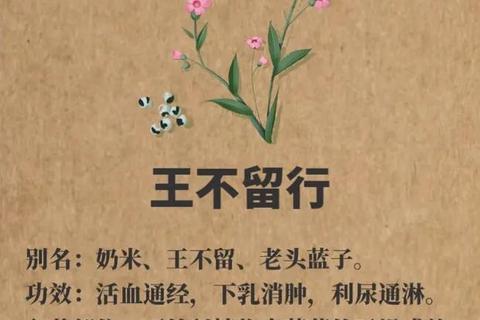 复方王不留行片临床应用研究-通乳功效与乳腺疾病治疗进展分析