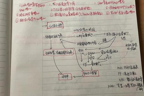 钠：维持体液平衡与神经传导的核心作用