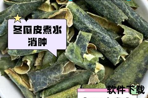 冬瓜皮：利水消肿_清热解暑_药食两用