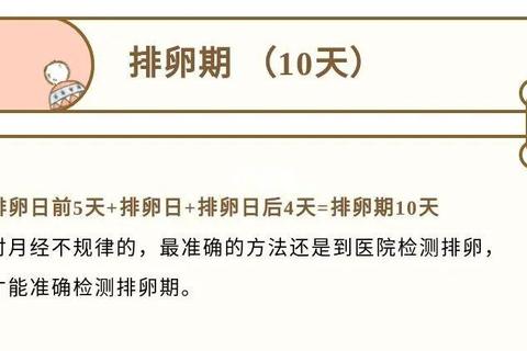 月经不调能否怀孕_排卵异常与受孕几率深度解析