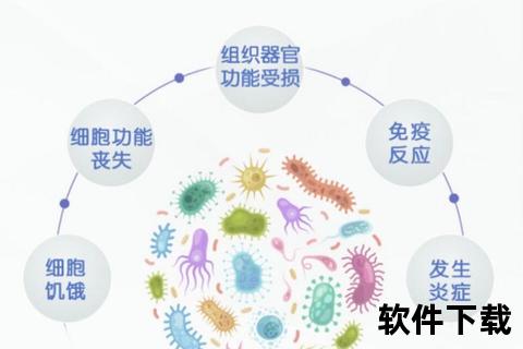 炎症揭秘：防御反应的双刃剑与健康管理