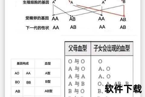 新生儿血型：遗传机制与母婴健康关联探析