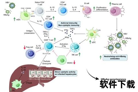 功能性月经不调-内分泌失调机制与临床干预策略