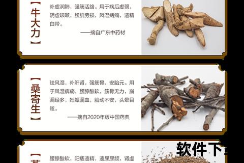 舒筋健腰丸：腰部疼痛缓解与筋骨强健核心功效解析