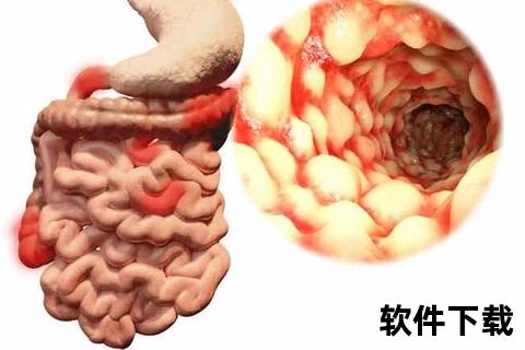 华蟾素功效解析：抗癌抗炎与免疫调节作用机制探秘