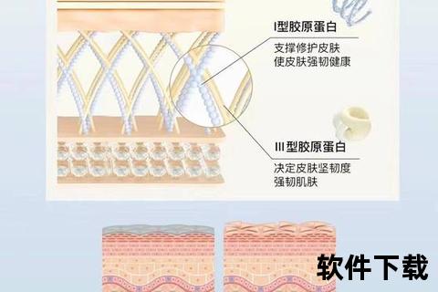 胶原提取物核心功效解析：肌肤修复_抗衰机制及应用研究