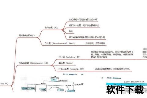 复方氨烷抗炎镇痛机制解析与临床应用研究进展