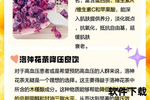 洛神花茶饮用频率指南-科学建议与健康间隔解析