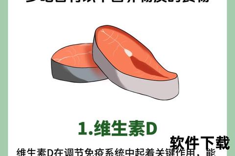 维生素B与D：促进蛋白质吸收的关键营养素