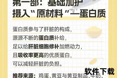 养肝护肝全攻略：科学调理肝脏健康的日常指南