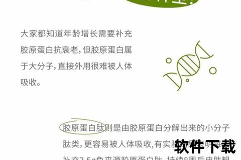 胶原蛋白粉核心功效解析：焕活肌肤_强健骨骼_延缓衰老