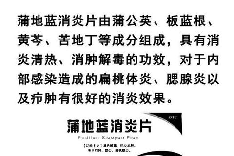 蒲地蓝消炎片抗病毒功效解析-药理机制与临床应用探讨