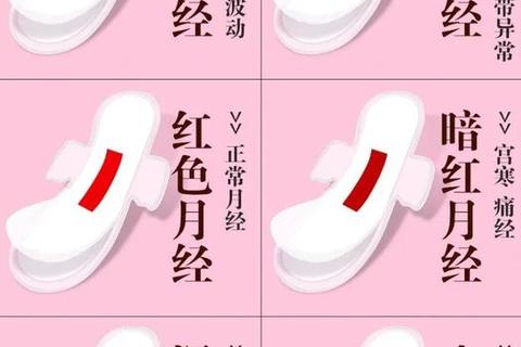 月经血:女性生理健康的自然密码与科学认知 月经血:女性生理健康的自然密码与科学认知