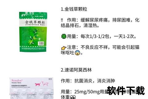 尿路感染消炎药指南：西药与中成药科学用药全解析