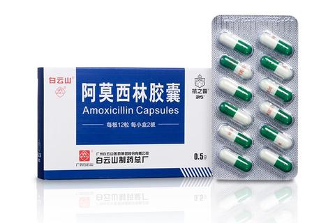 抗之霸阿莫西林_抗菌消炎双效机制与临床应用价值解析