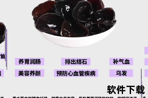 木耳的七大功效与作用解析-天然食材的养生奥秘